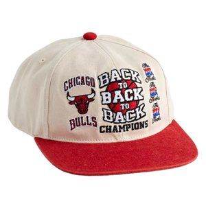 Mitchell & Ness Chicago Bulls Back to Back Champions Hat